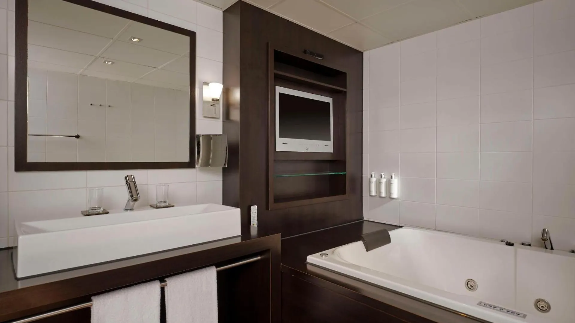 ****  Hotel Park Plaza Eindhoven Nizozemsko